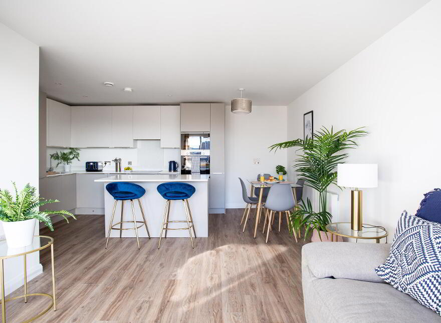 Serenity, Portland 88, Belfast, BT7 2EB