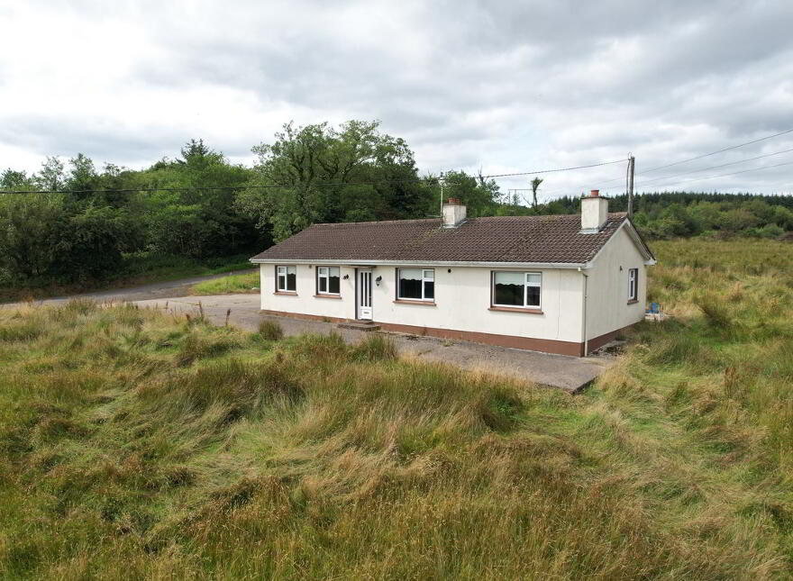 Altachullion Lower, Swanlinbar, H14FC99
