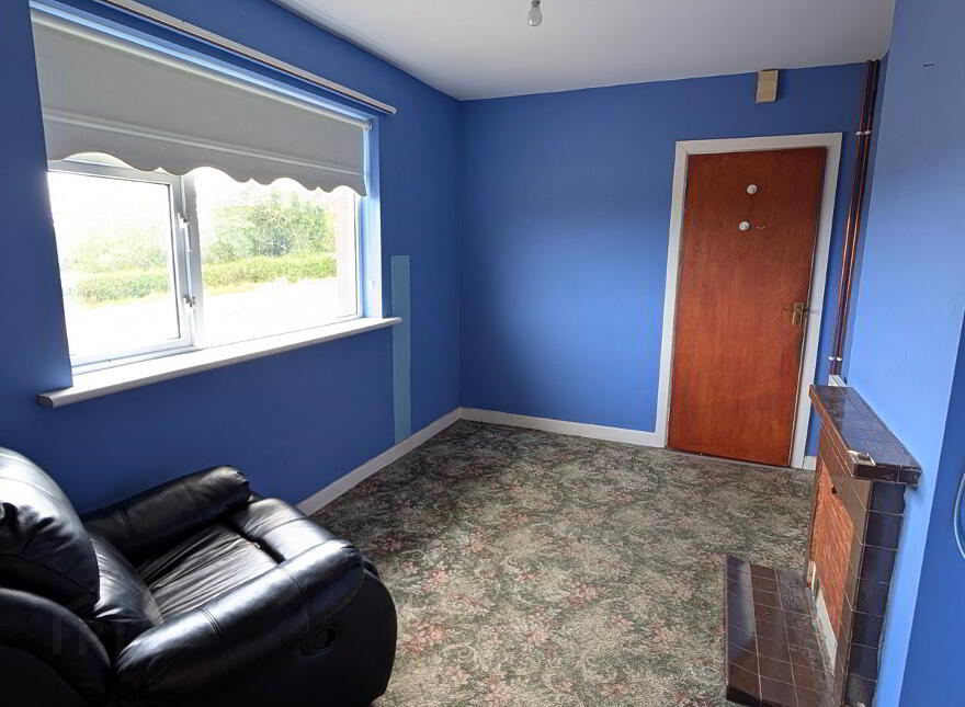 Altachullion Lower, Swanlinbar, H14FC99