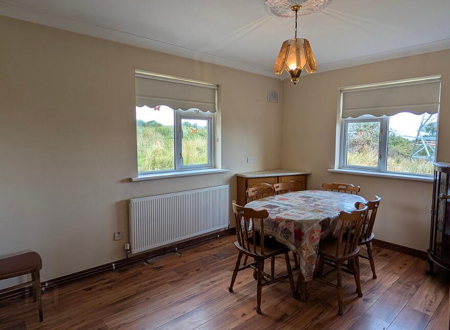 Altachullion Lower, Swanlinbar, H14FC99