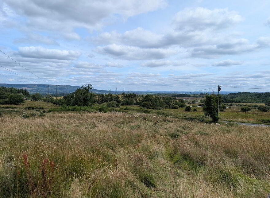 Altachullion Lower, Swanlinbar, H14FC99