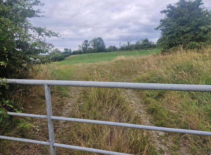Copponagh Lane, Coppanagh photo