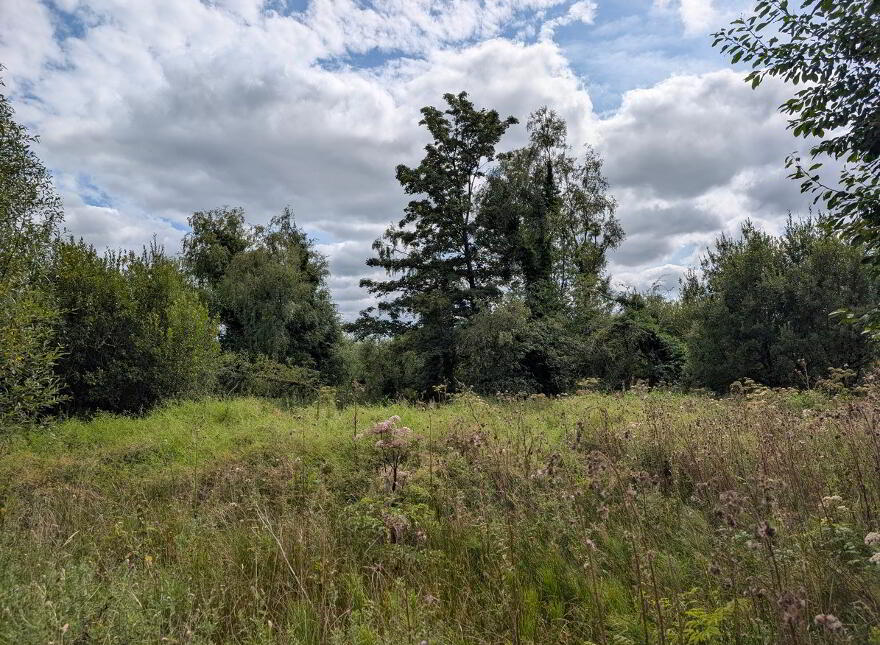 Kiltynaskellan, Ballyconnell, H12DE28