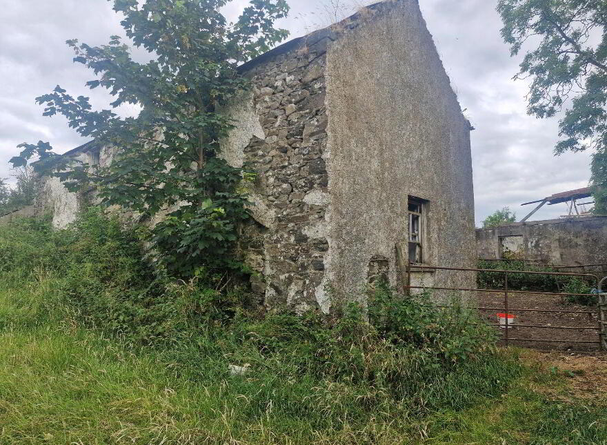 Rakeevan Bailieborough, Bailieborough photo