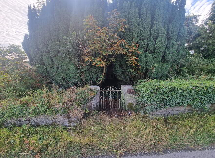 Derelict Georgian Dwelling, Clontibret