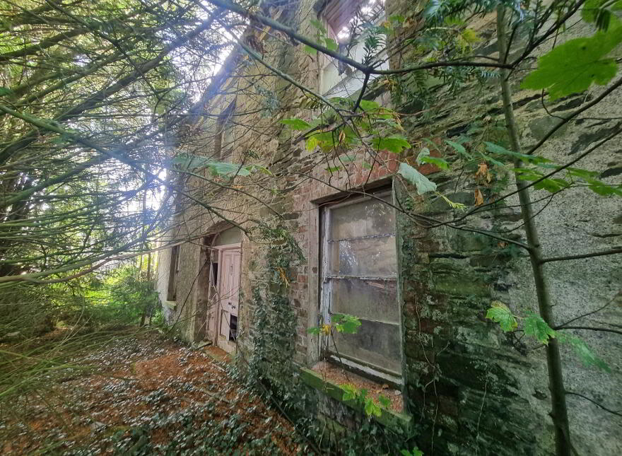 Derelict Georgian Dwelling, Clontibret