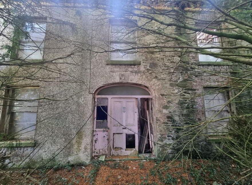 Derelict Georgian Dwelling, Clontibret