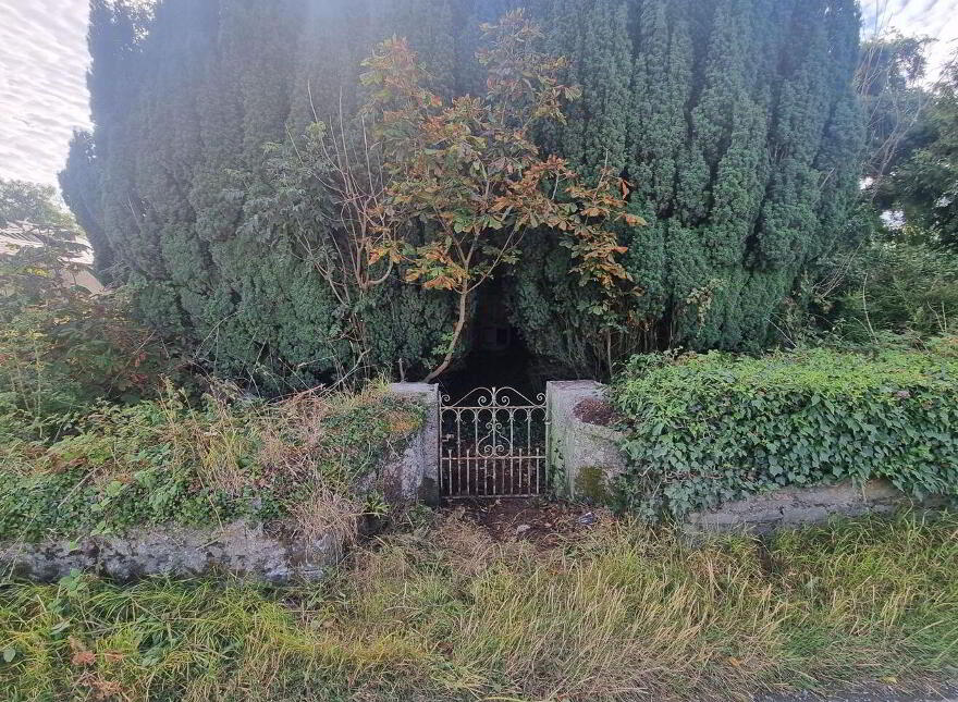 Derelict Georgian Dwelling, Clontibret