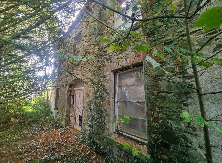 Derelict Georgian Dwelling, Clontibret