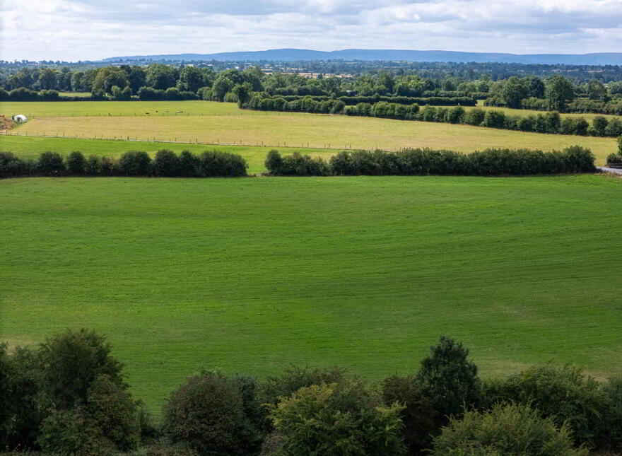 Ballymooney, Geashill