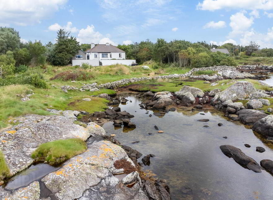 Connemara, Connemara, H91H1XK photo