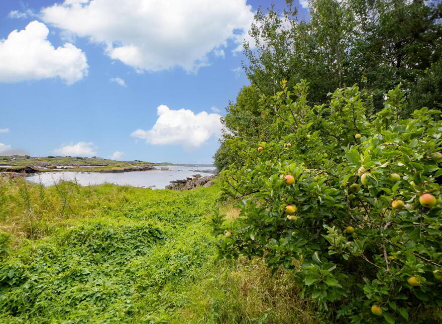 Connemara, Connemara, H91H1XK