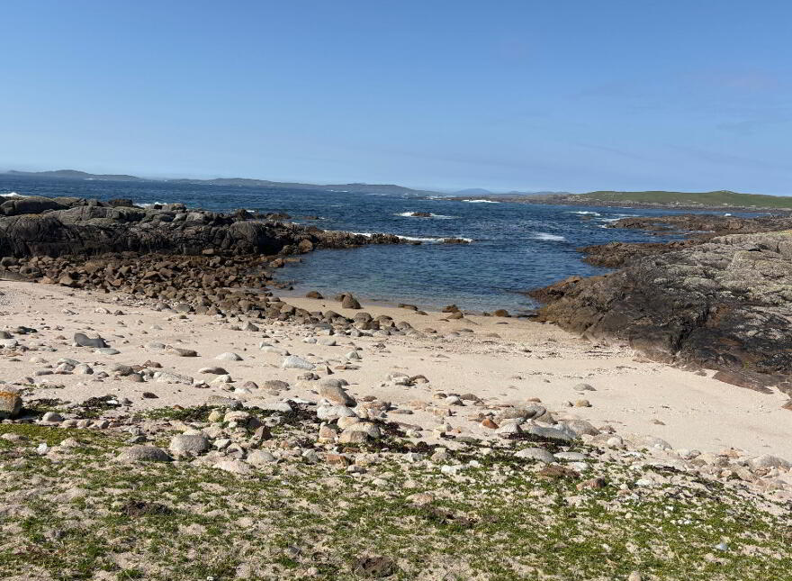 Gannoughs, Cleggan