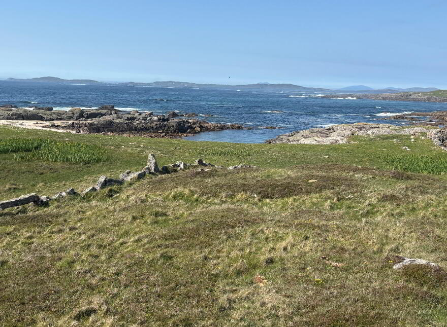 Gannoughs, Cleggan