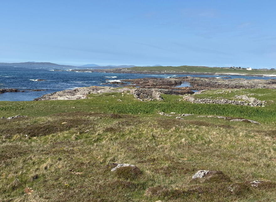 Gannoughs, Cleggan