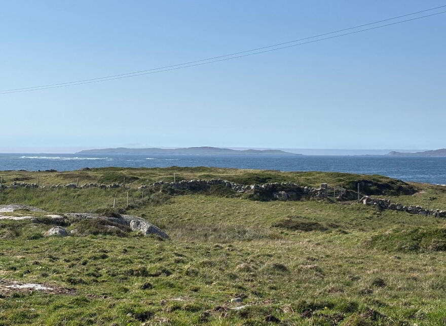 Gannoughs, Cleggan