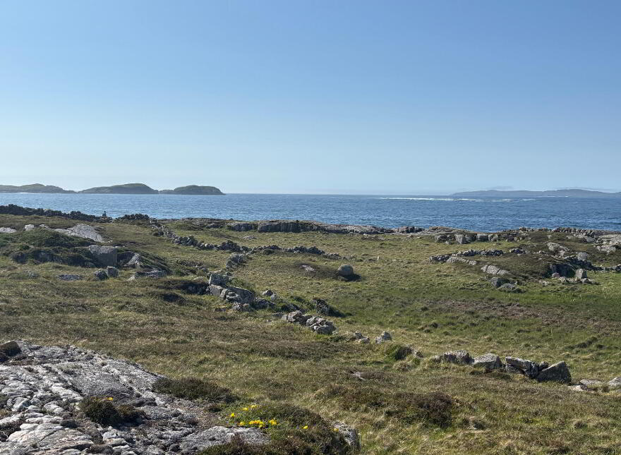 Gannoughs, Cleggan