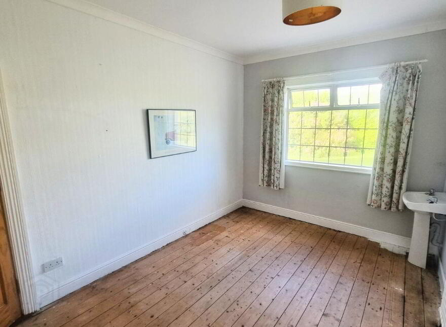 Saint Anthony, Coolcotts Lane, Wexford Town, Y35T9N6