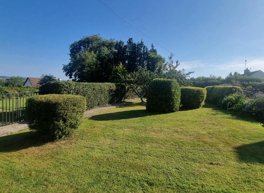 Saint Anthony, Coolcotts Lane, Wexford Town, Y35T9N6