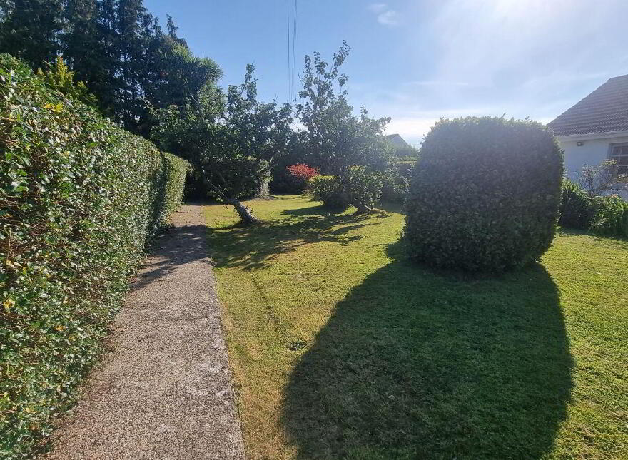 Saint Anthony, Coolcotts Lane, Wexford Town, Y35T9N6