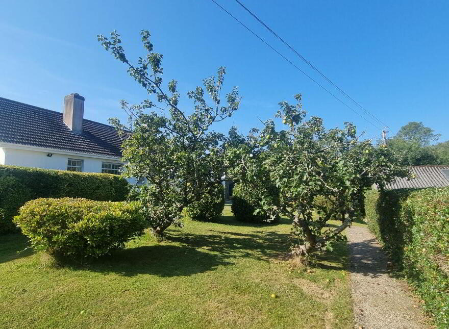 Saint Anthony, Coolcotts Lane, Wexford Town, Y35T9N6