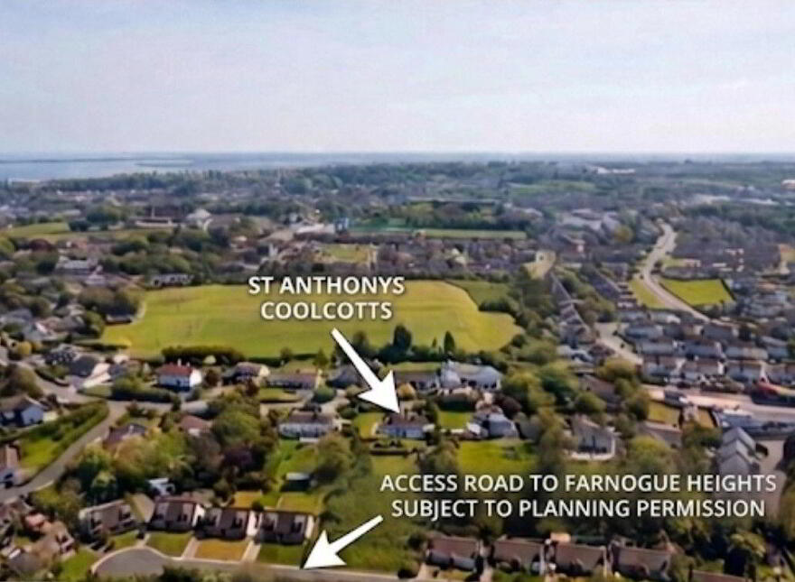 Saint Anthony, Coolcotts Lane, Wexford Town, Y35T9N6