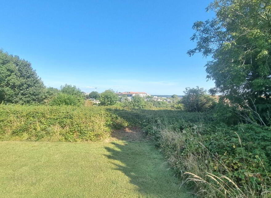 Saint Anthony, Coolcotts Lane, Wexford Town, Y35T9N6