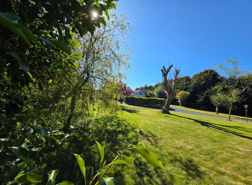 Thorndale, Coolree, Y35PNT3