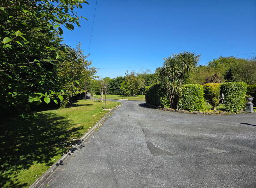 Thorndale, Coolree, Y35PNT3