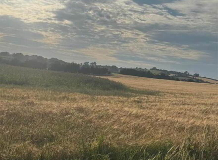 Circa 89 Acres Of Land At, Ballyhornan Road, Downpatrick, BT30