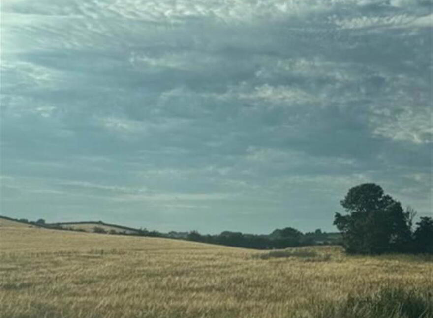 Circa 89 Acres Of Land At, Ballyhornan Road, Downpatrick, BT30