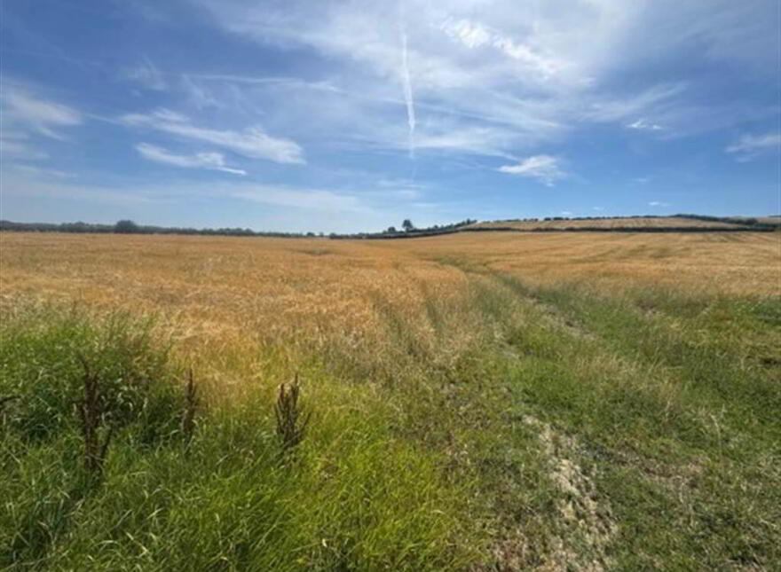 Circa 89 Acres Of Land At, Ballyhornan Road, Downpatrick, BT30