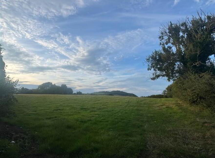 Circa 89 Acres Of Land At, Ballyhornan Road, Downpatrick, BT30