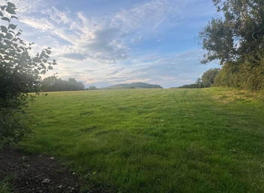 Circa 89 Acres Of Land At, Ballyhornan Road, Downpatrick, BT30
