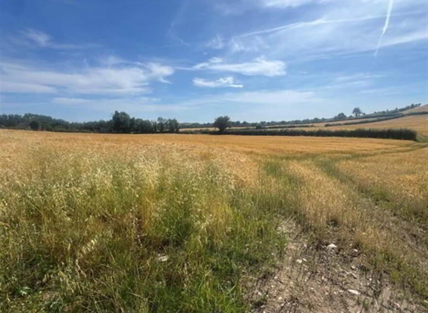 Circa 89 Acres Of Land At, Ballyhornan Road, Downpatrick, BT30