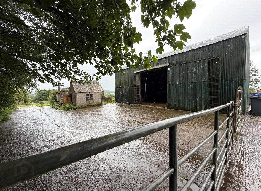 Small Holding ( Approx. 1.5 Acres), 60 Shelton Road, Loughguile, Ballymena, BT44 9JR