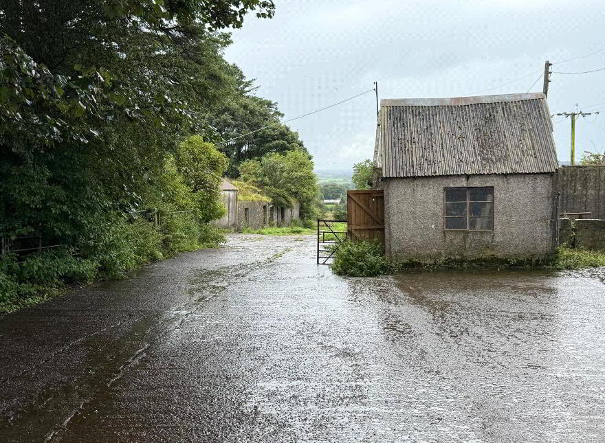 Small Holding ( Approx. 1.5 Acres), 60 Shelton Road, Loughguile, Ballymena, BT44 9JR