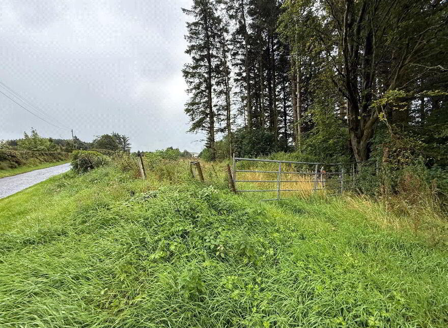 Small Holding ( Approx. 1.5 Acres), 60 Shelton Road, Loughguile, Ballymena, BT44 9JR