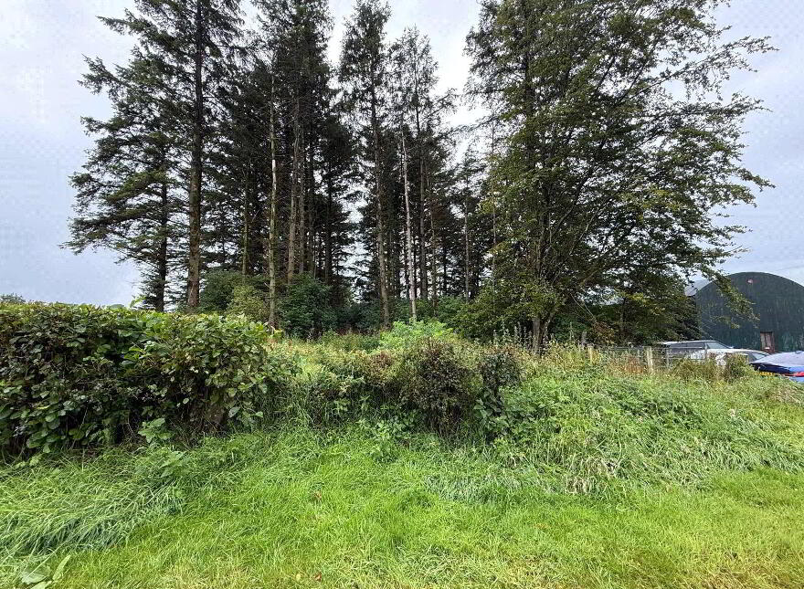Small Holding ( Approx. 1.5 Acres), 60 Shelton Road, Loughguile, Ballymena, BT44 9JR
