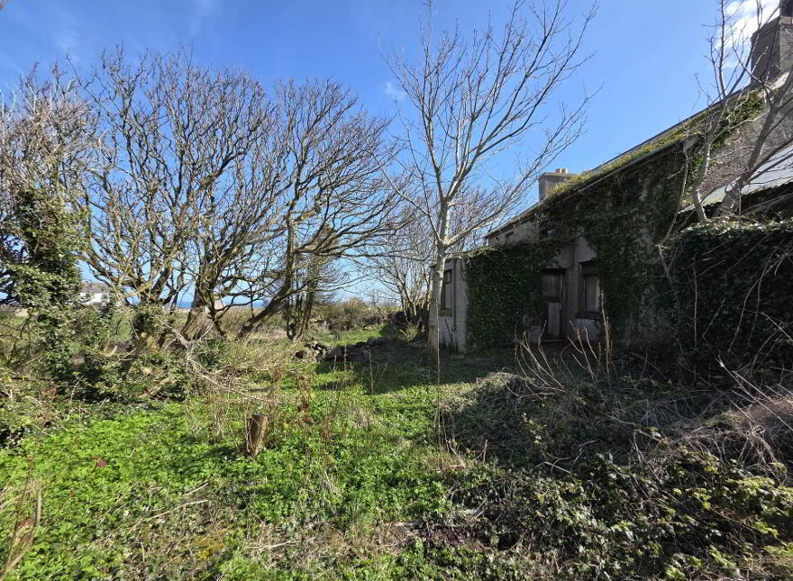 20 Harbour Road, Ballintoy, Ballycastle, BT54 6NA