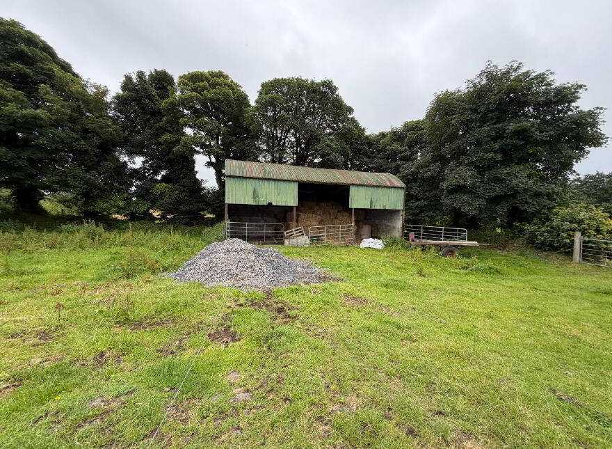 Cloncovid, Kilcogy, N39TX22