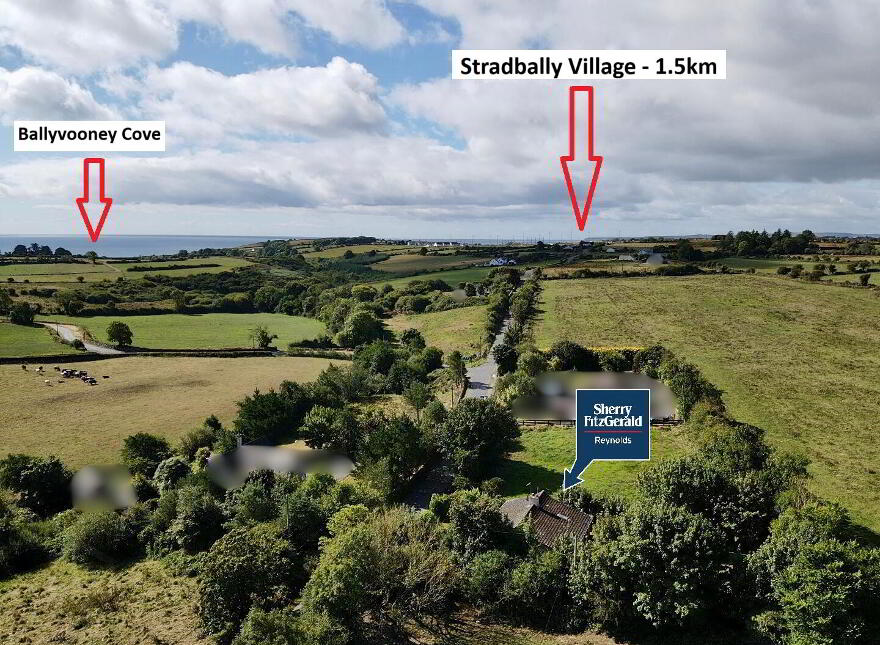 The Hideaway, Carriganna, Stradbally, X42P239