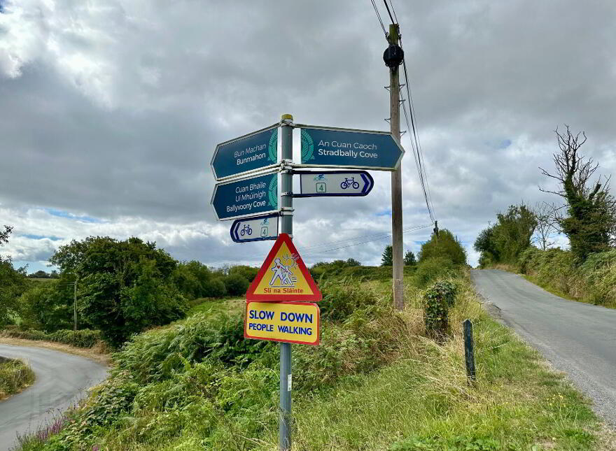 The Hideaway, Carriganna, Stradbally, X42P239