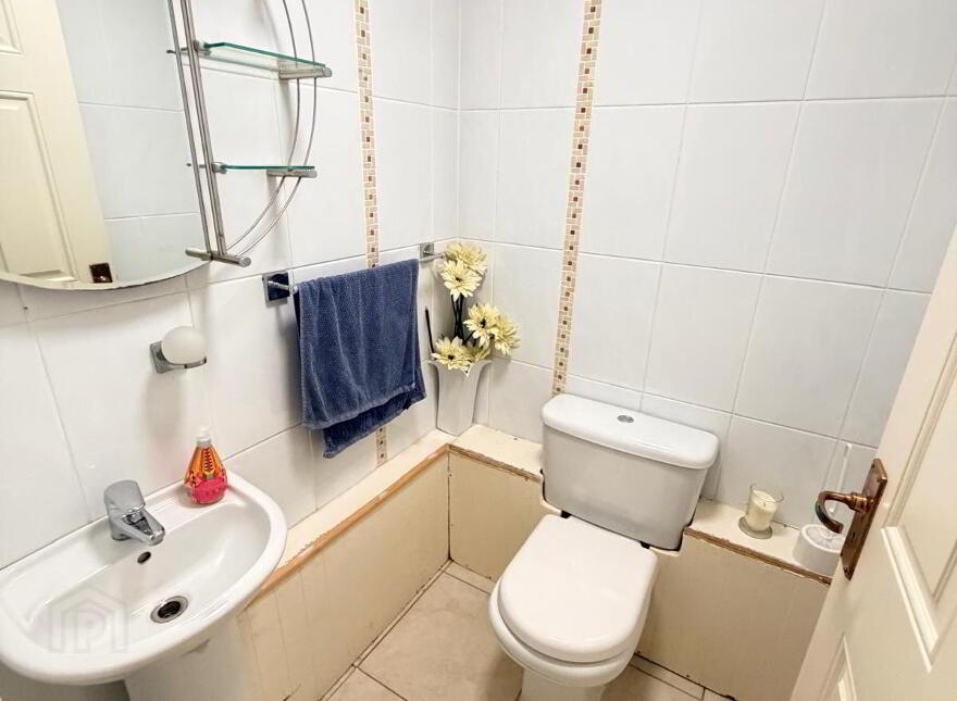 Instow, Riverbank, Douglas, T12Y9V3