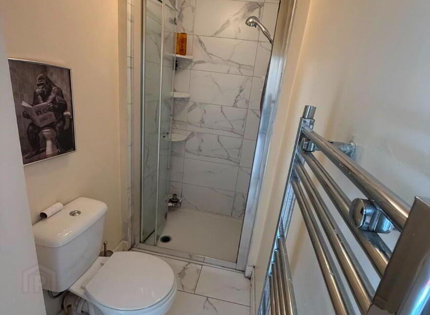 23 Dublin Street, Blackpool, T23C3V7