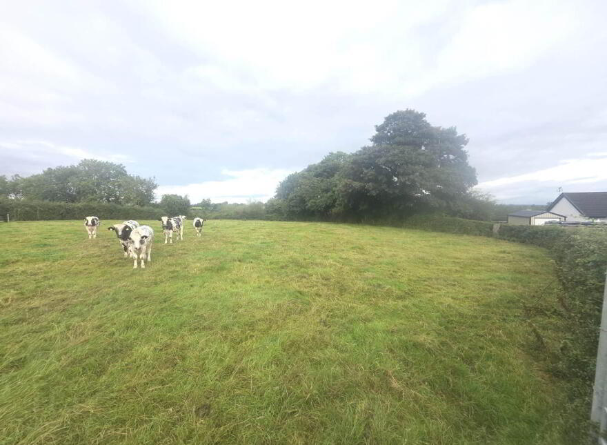 Site Opposite & 30 Metres South Of, 26b Tullysaran, Armagh, BT61 8HB