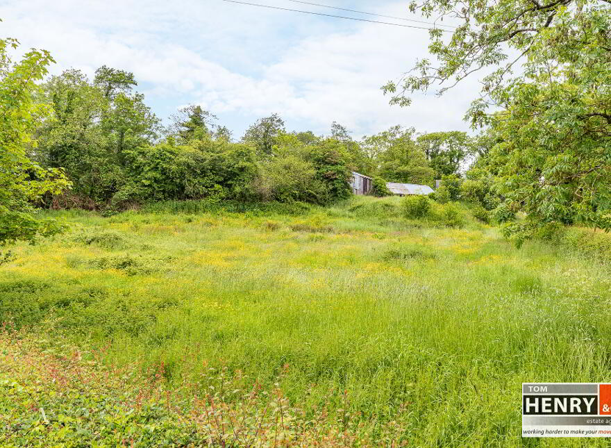 144 Glassdrummond Road, Greystone, Dungannon, BT70 1PQ