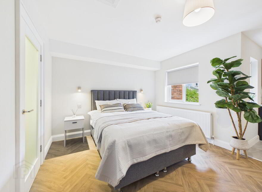 Room 3 The Ashley Collection, Ashley Avenue, Belfast, BT9 7BT
