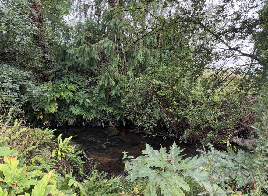 Coolbawn, Doon