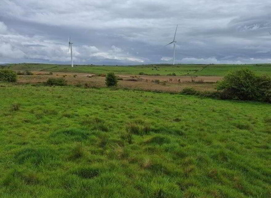 Cashel, Rossnowlagh